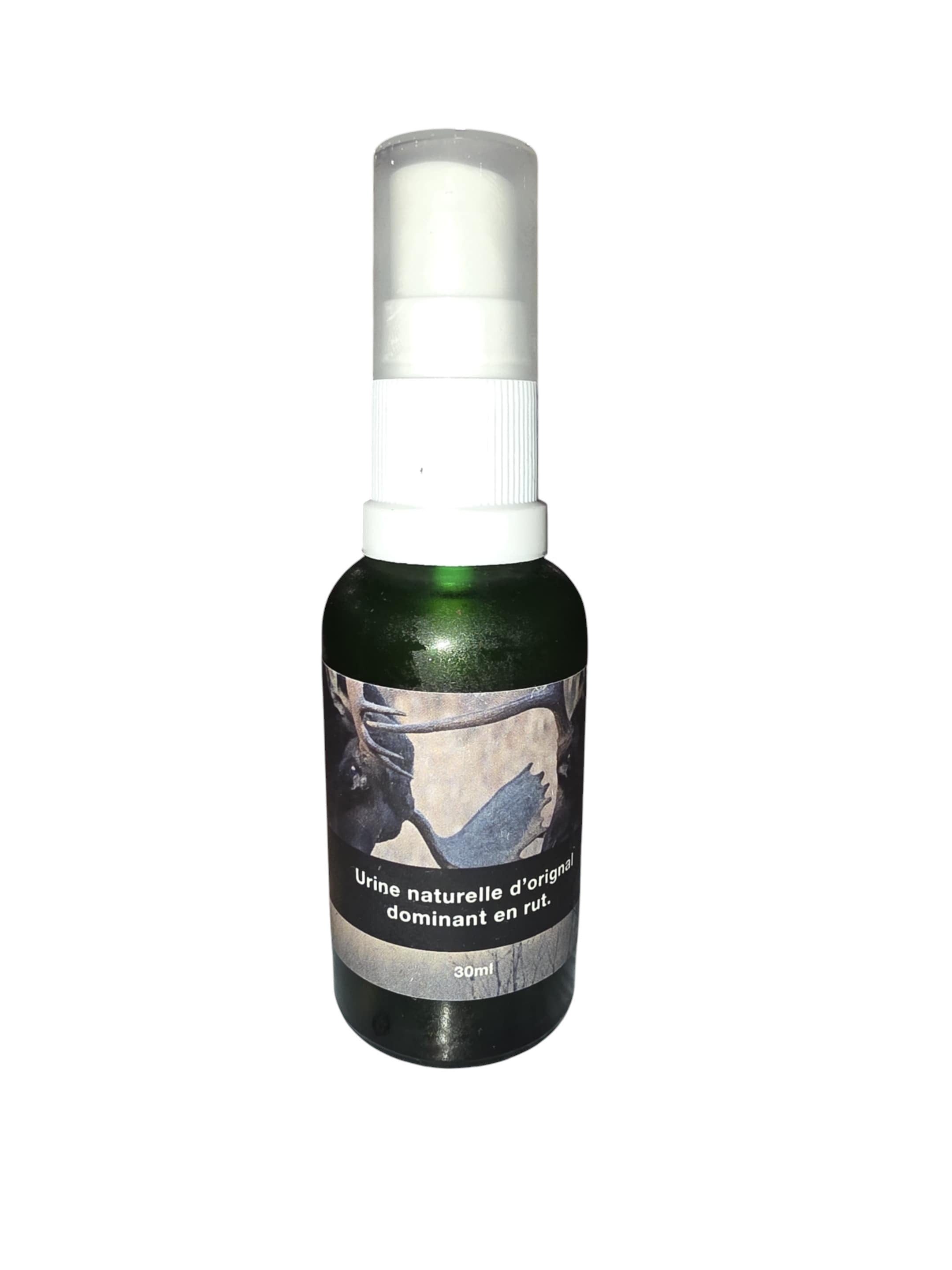 Urine d'orignal naturelle (buck mature en rut)