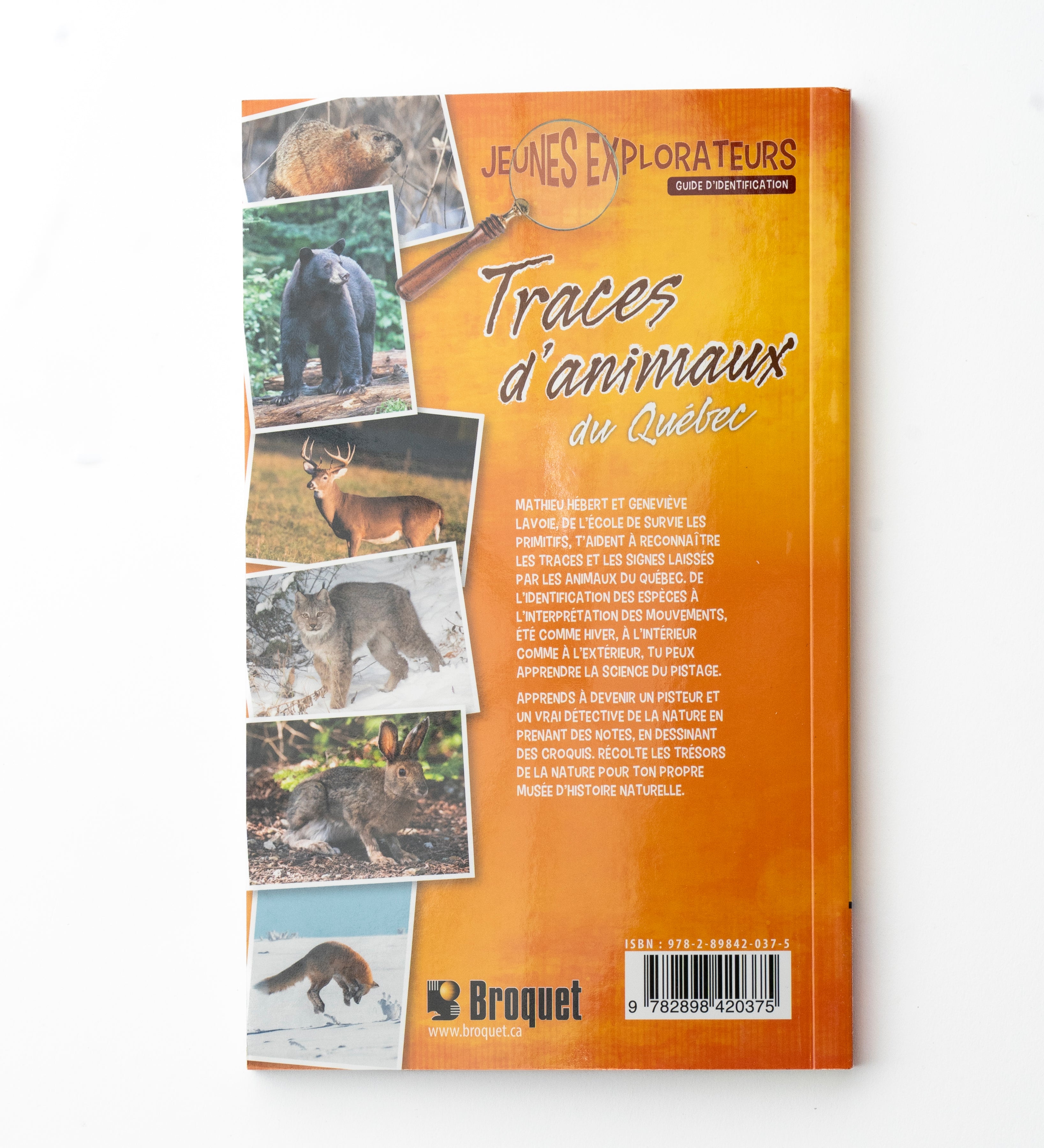 Le guide Jeunes explorateurs, Traces d'animaux