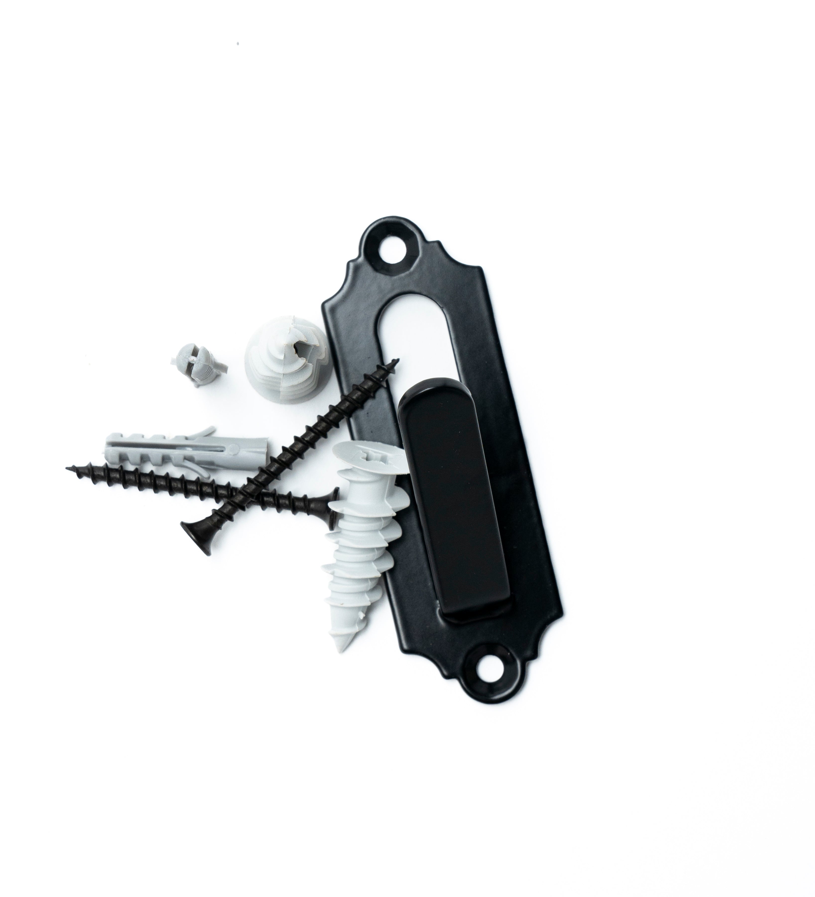Skull Wall Mount