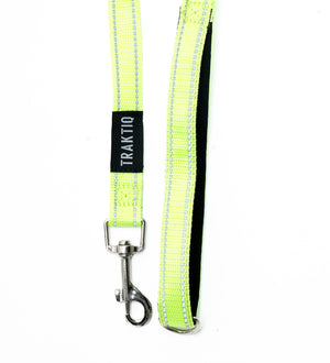 Laisse pour chien 5 pieds