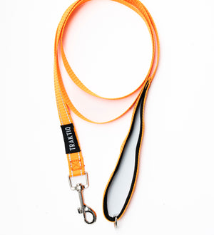 Laisse pour chien 5 pieds