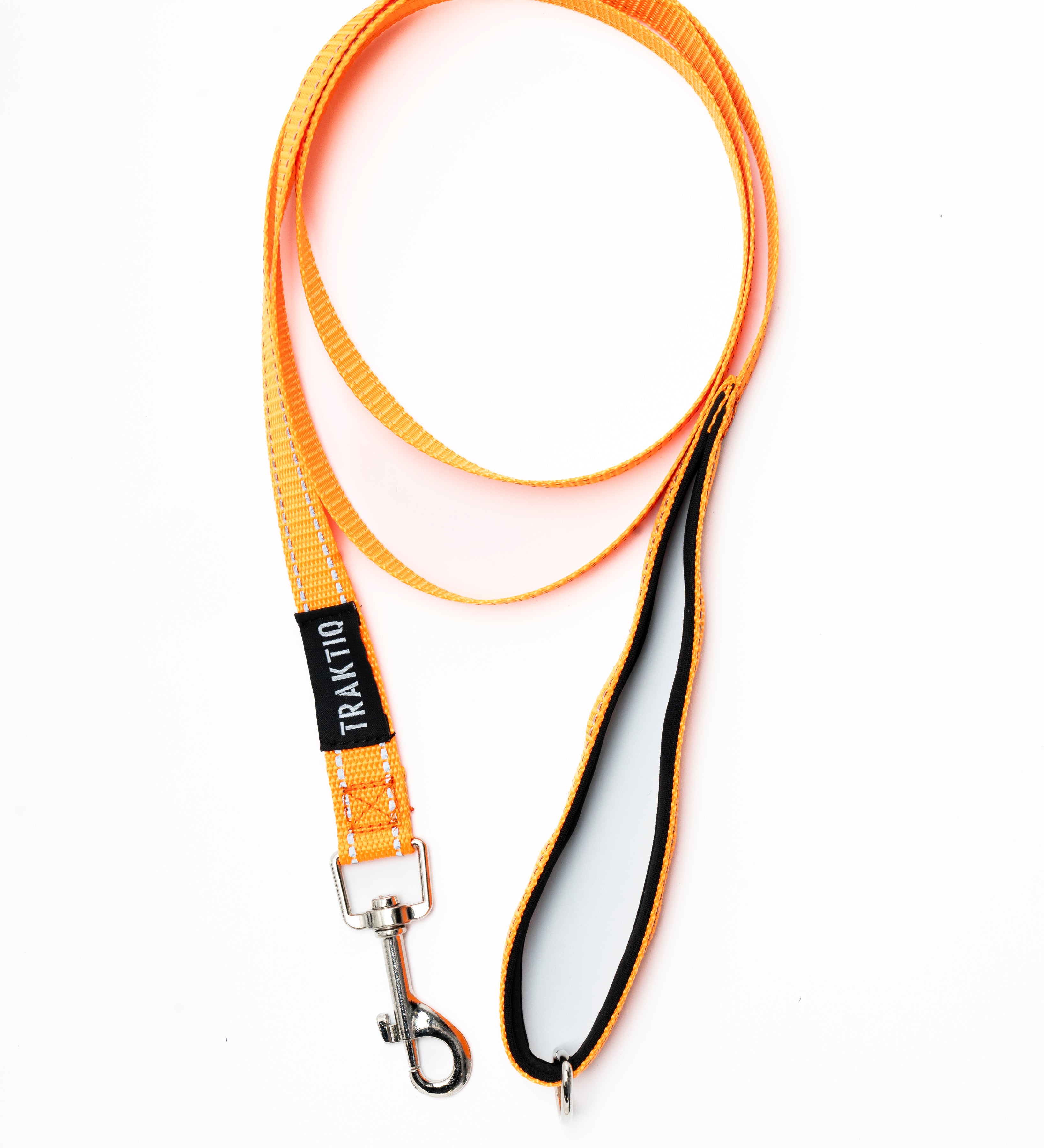 Laisse pour chien 5 pieds