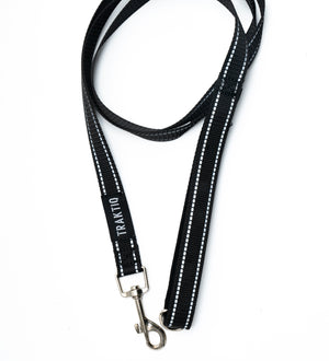 Laisse pour chien 5 pieds