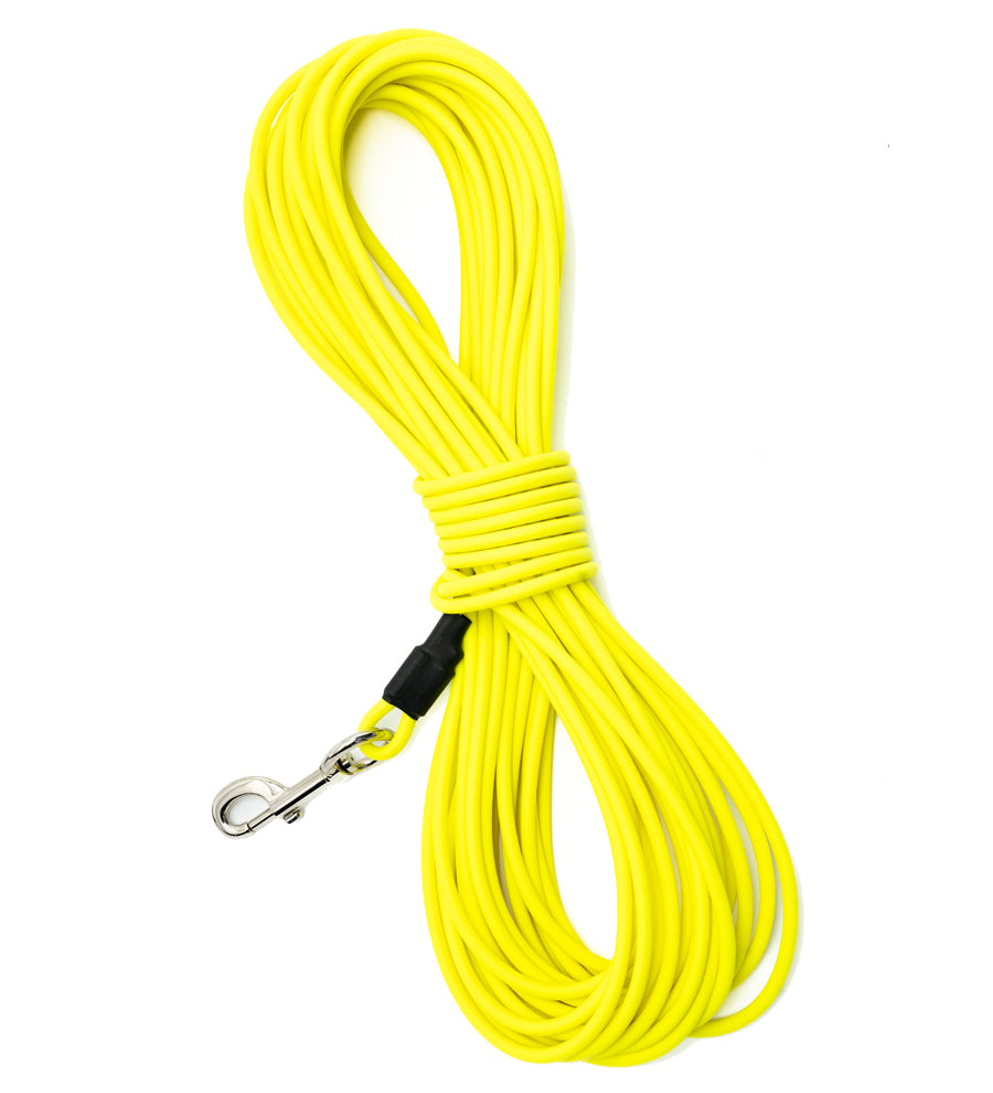 Bloodhound search lead