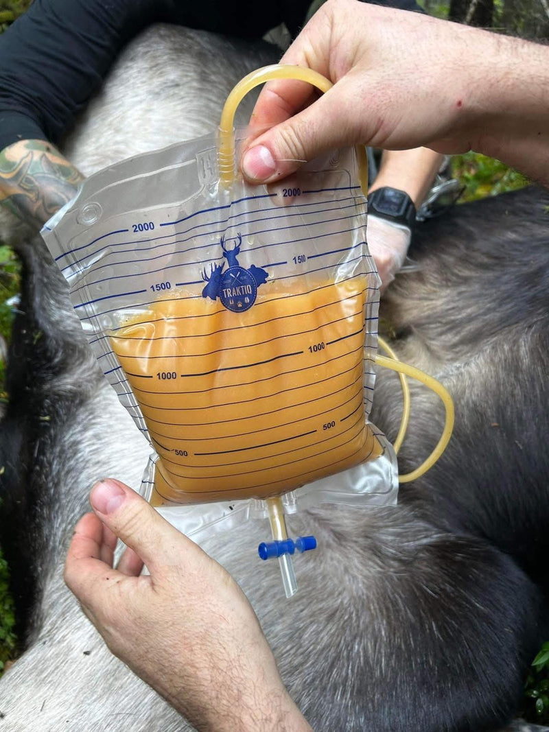 Urine d'orignal naturelle (buck mature en rut)