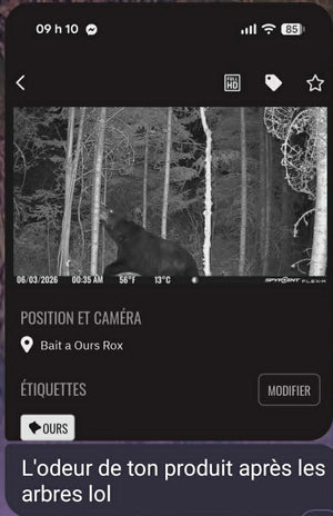 Stuff à Ours