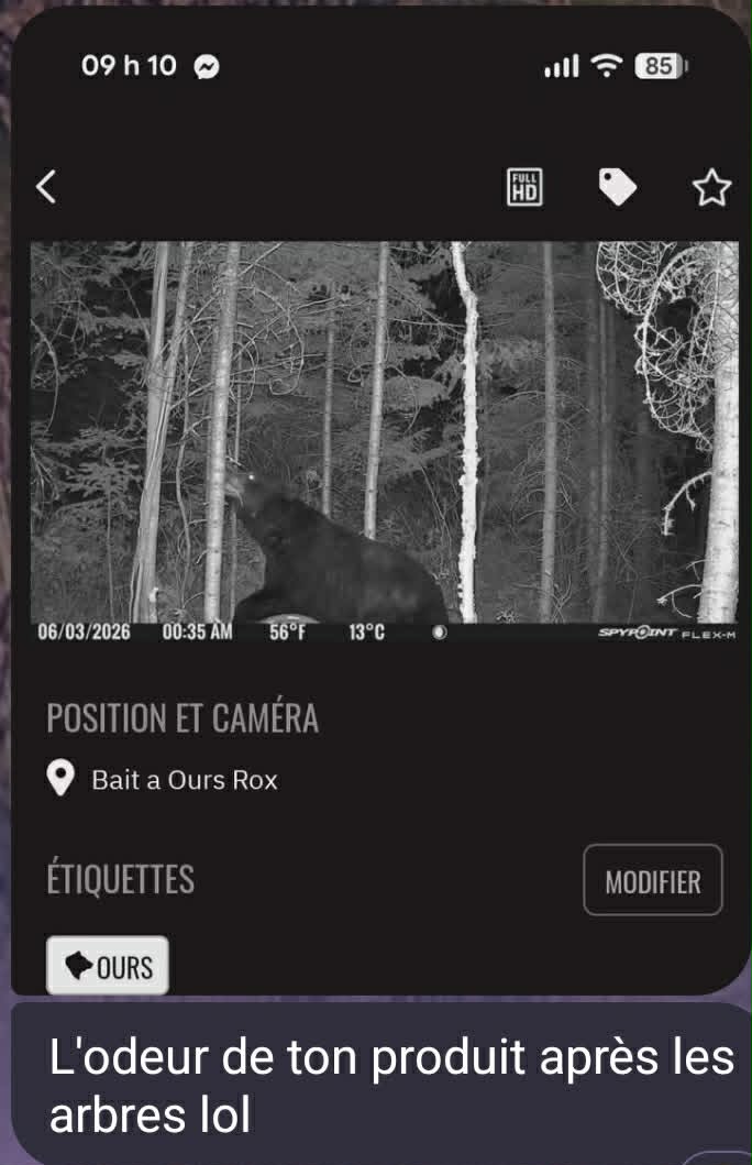 Stuff à Ours