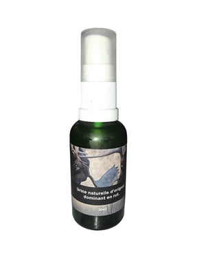 Urine d'orignal naturelle (buck mature en rut)